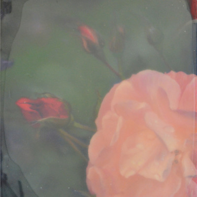 Sugar roses I, 2014, oil and lacguer on canvas, 50 x 60cm. Private collection Sweden
